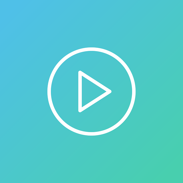Almanya Video Yapımcısı Maaşları