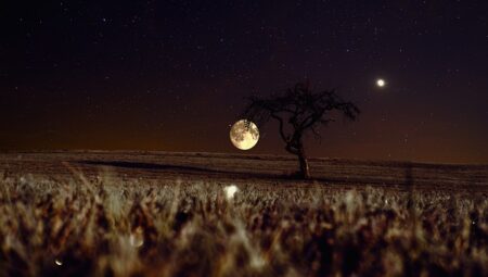 Gece Bekçisi Maaşları