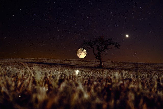 Gece Bekçisi Maaşları