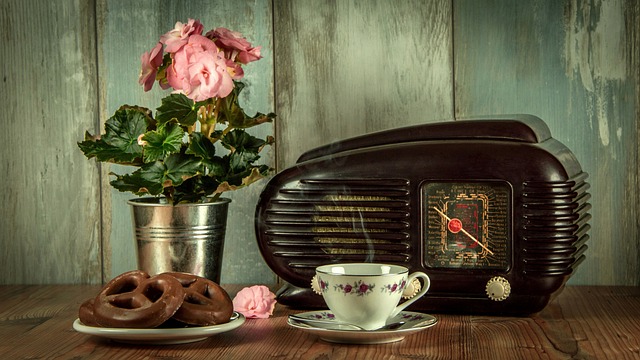 Radyo Sunucusu Maaşları